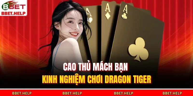 Cao thủ mách bạn kinh nghiệm chơi dragon tiger