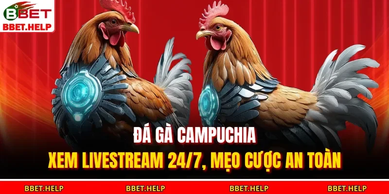 Đá gà Campuchia không chỉ là trò chơi