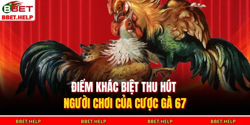 Điểm khác biệt thu hút người chơi của cược gà 67