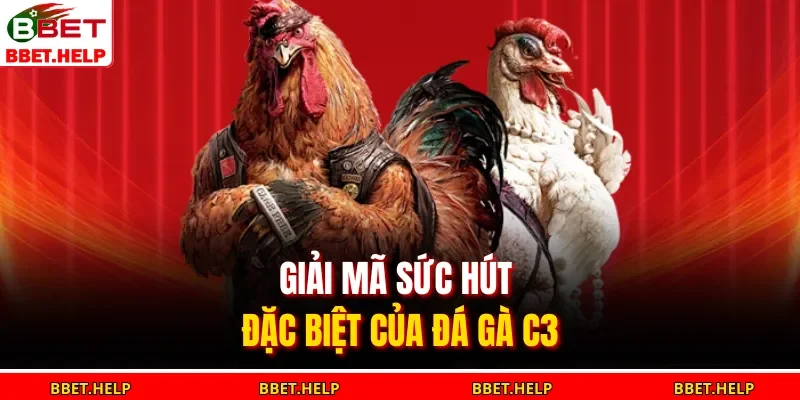 Giải mã sức hút đặc biệt của đá gà C3