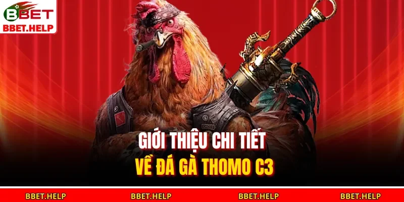 Giới thiệu chi tiết về đá gà Thomo C3