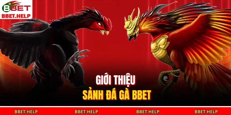 Giới thiệu sảnh đá gà BBET