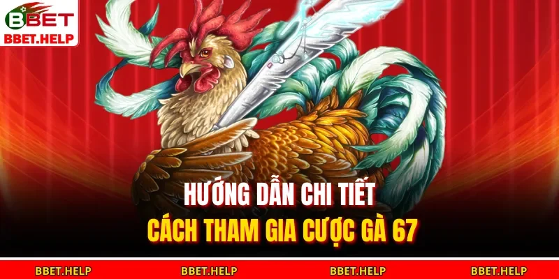 Hướng dẫn chi tiết cách tham gia cược gà 67