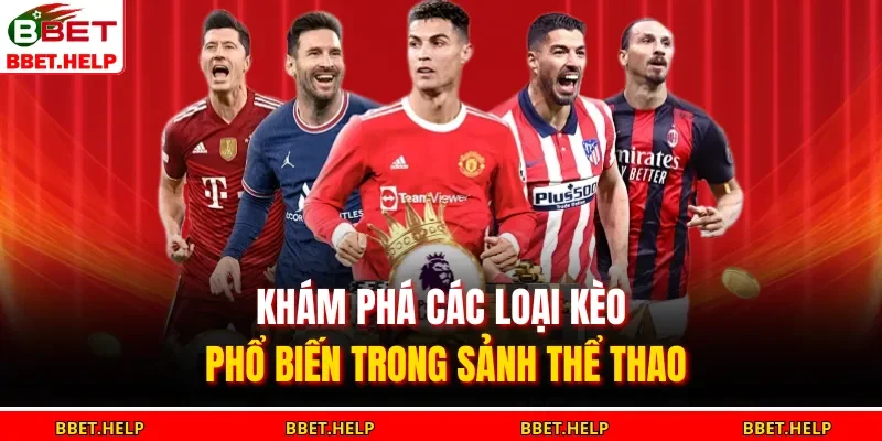Khám phá các loại kèo phổ biến trong sảnh thể thao